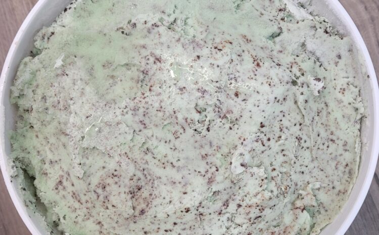 Mint Chocolate Chip
